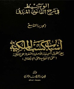 الوسيط في شرح القانون المدني 9